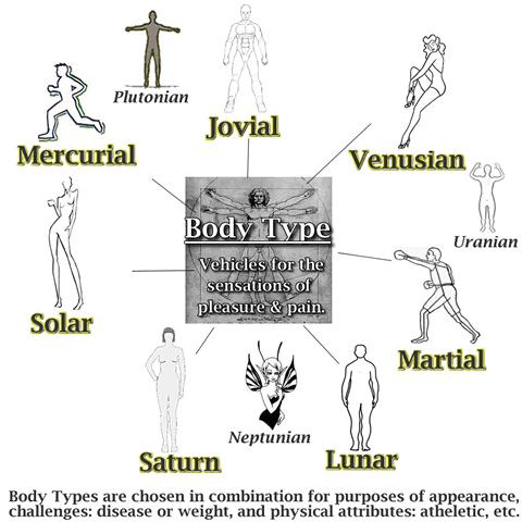 Body Type Group Graphic - The Michael Teachings